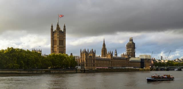 live news feed image